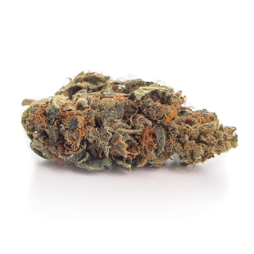 strong-hemp-susz-konopny-orange-skun-cbd-sklep