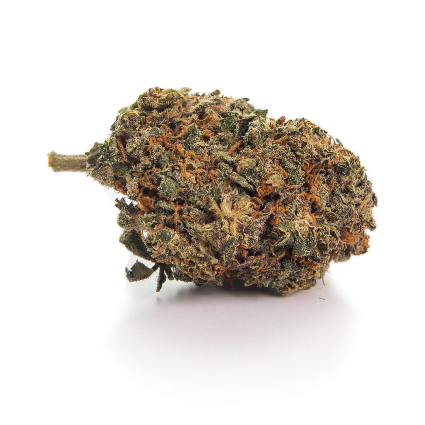 strong-hemp-susz-konopny-strawberry-haze-cbd-sklep