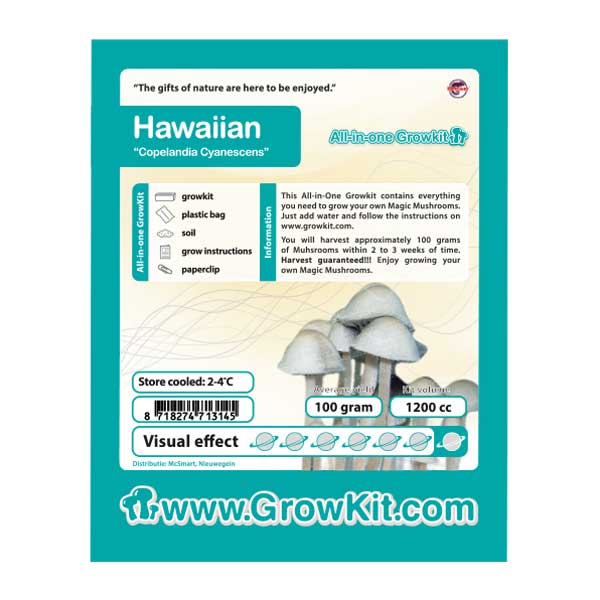 mushroom-Growkit-Hawaiian-grzyby-grow-kit-all-in-one-sklep-konopny-cbd-strong-hemp-gorzow-lubuskie-polska