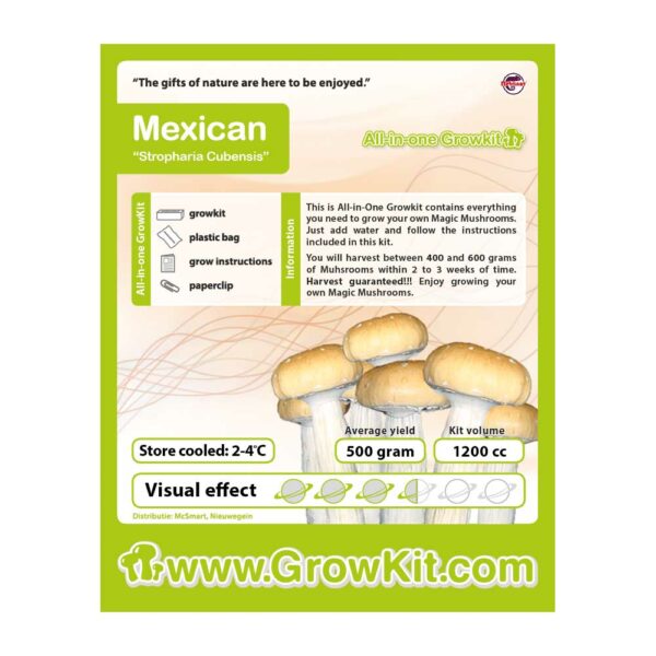 mushroom-Growkit-Mexican-grzyby-grow-kit-all-in-one-sklep-konopny-cbd-strong-hemp-gorzow-lubuskie-polska